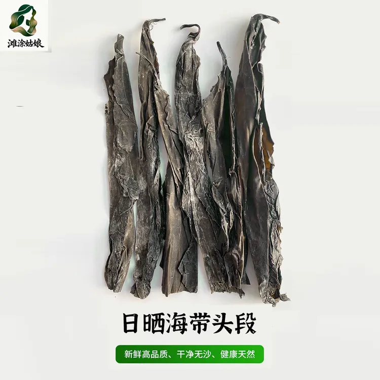 四禾海养 霞浦特产干海带头段 日晒原生态出口级 无泥沙无盐 干净