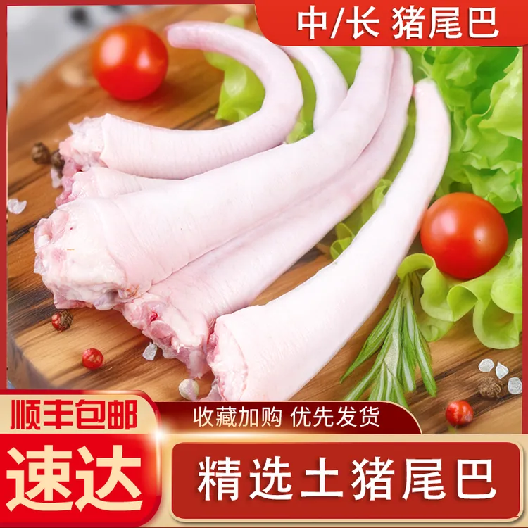 新鲜猪尾巴长猪尾黑猪尾短猪尾新鲜现杀红烧卤味煲汤干净无毛