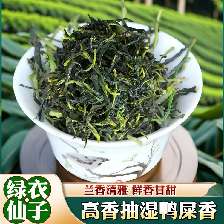 潮州凤凰单丛茶抽湿工艺鸭屎香单枞茶 高香型乌岽醇香春茶乌龙茶