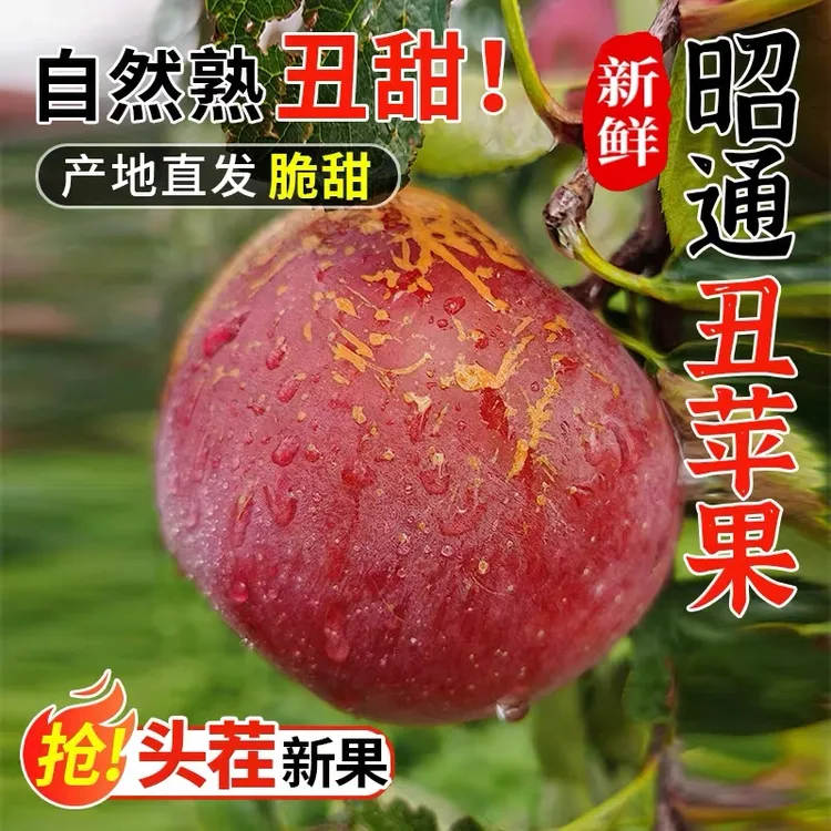 【坏果包赔】云南昭通红富士冰糖心丑苹果现摘现发脆甜多汁新鲜水果