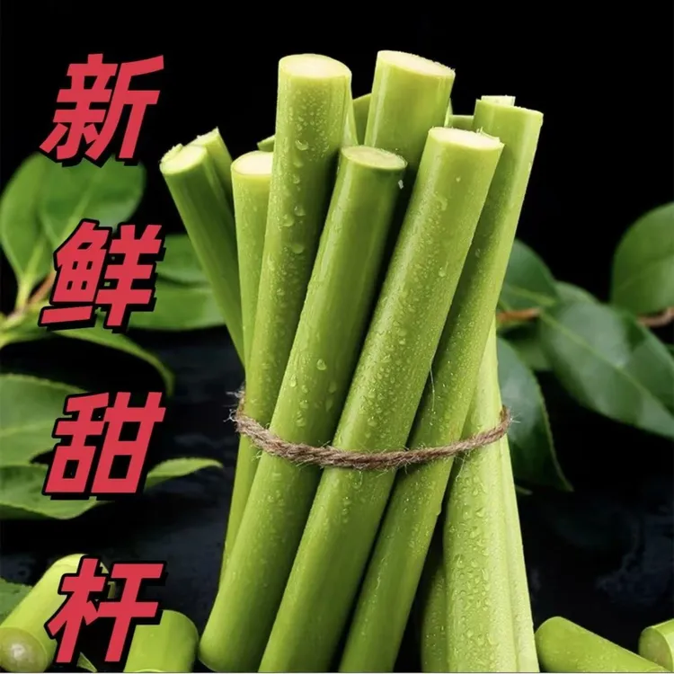 新鲜甜杆 甜芦粟 甜棒甜高粱小甘蔗时候的味道童年味道80 90后3斤