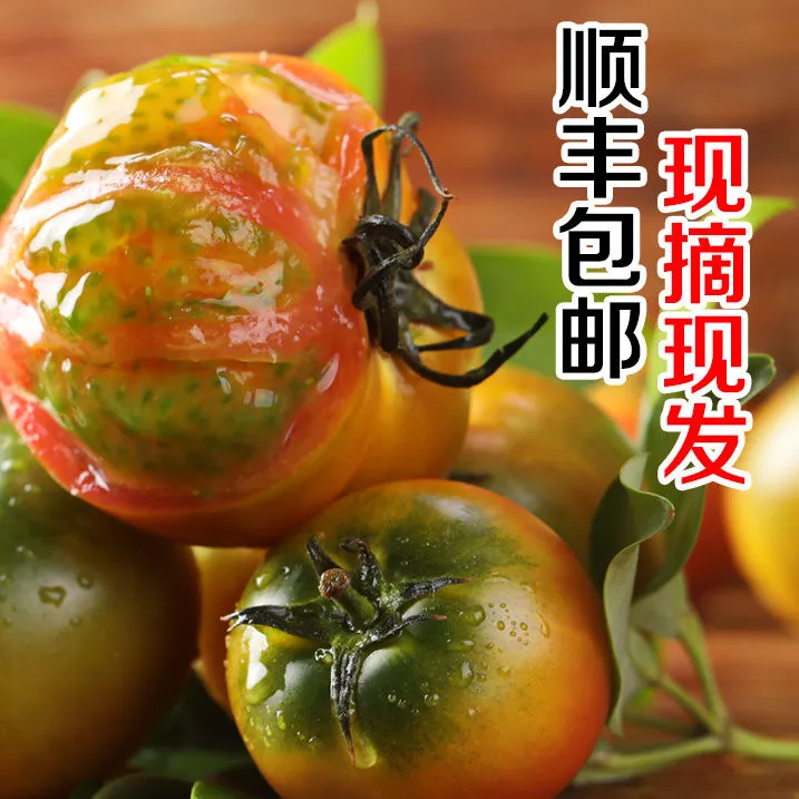 顺丰包邮自然熟多籽大连碱地柿子铁皮草莓西红柿番茄新鲜