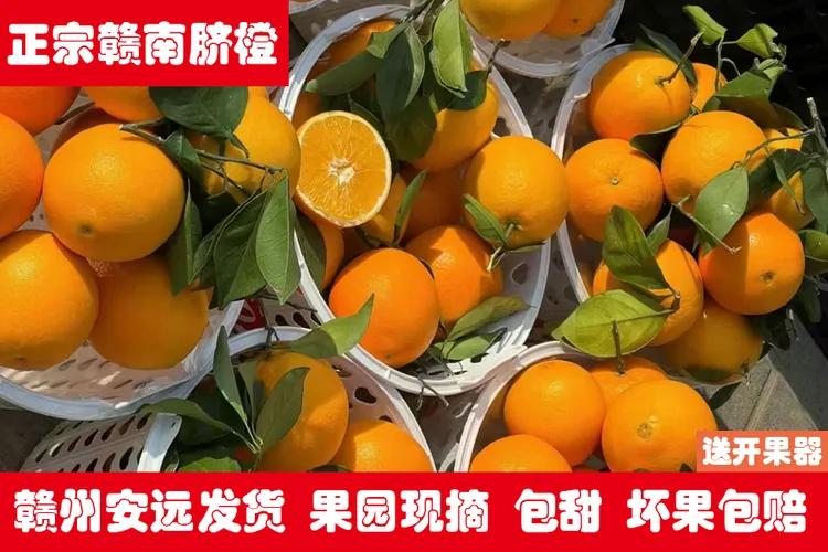 江西赣南正宗脐橙当季新鲜水果产地现摘现发清甜多汁