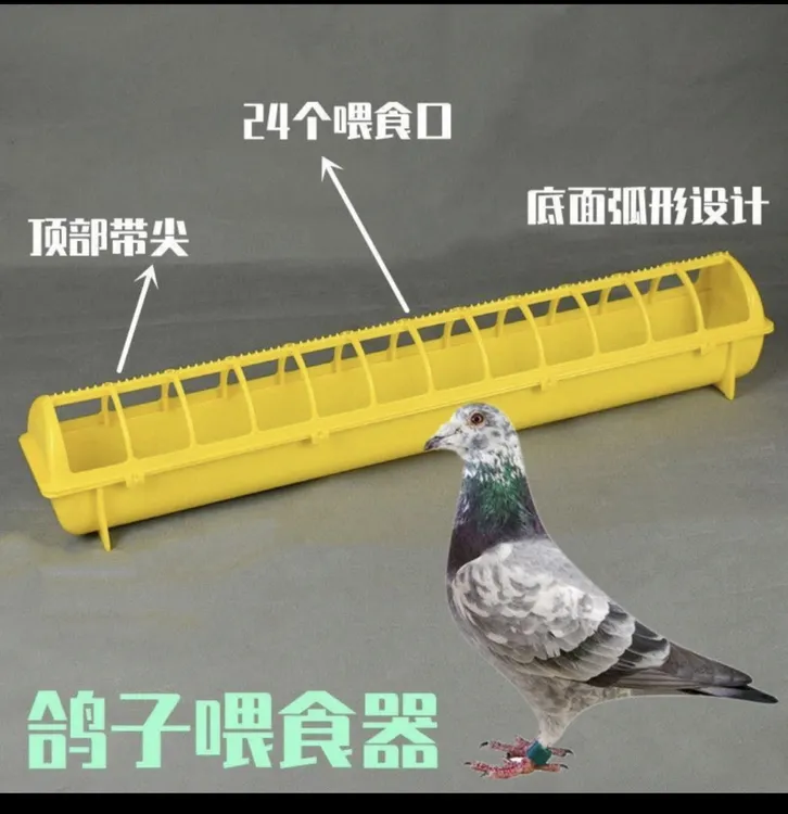 新款喂食防撒食槽水料一体养殖神器食盒鸽子粮食