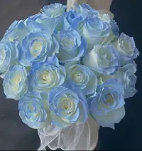 碎冰蓝玫瑰40枝+配草云南昆明基地鲜花直发 室内办公 云南鲜花