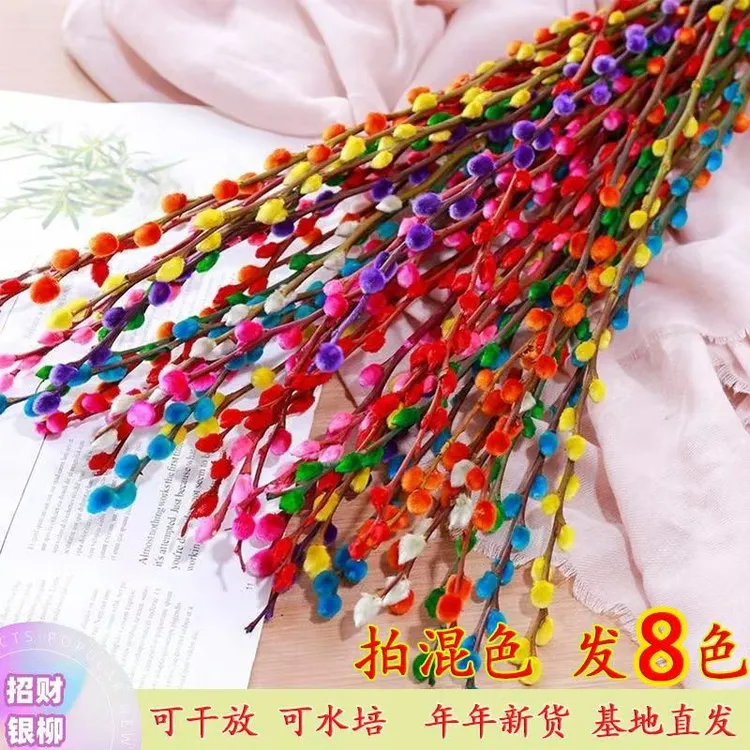 七彩八色招财银柳干花真花彩色鲜枝年宵花卉室内装饰花束