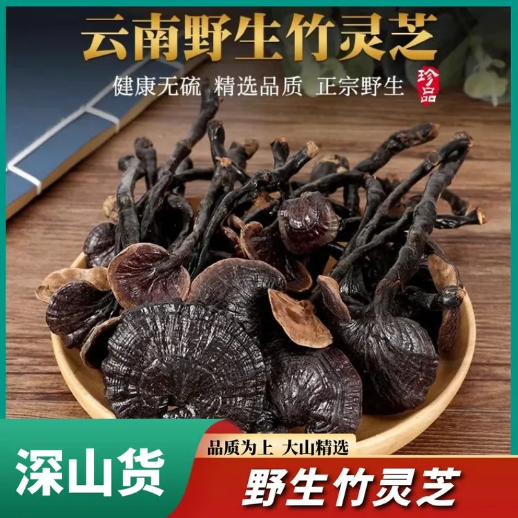 【竹灵芝】云南深山野生灵芝干货竹灵芝红灵紫灵芝滋补原料煲汤泡酒