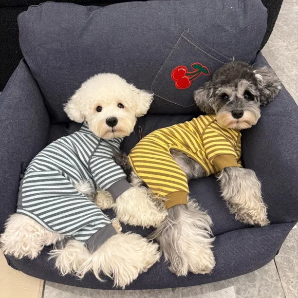 狗狗衣服条纹打底四脚雪纳瑞比熊泰迪柴犬西高地宠物衣服