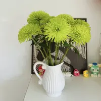【杨鹏鲜花】安娜绿 烟花菊 高档氛围花材 长花期云南鲜花包邮