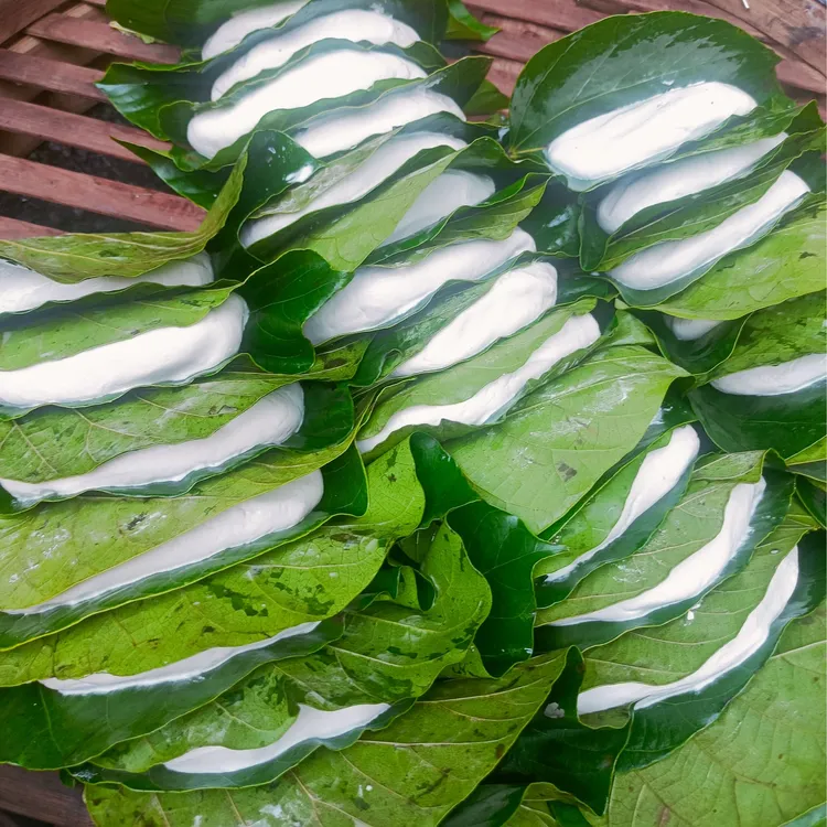 湖南邵阳手工桐子叶粑粑健康低糖早餐传统点心糕点