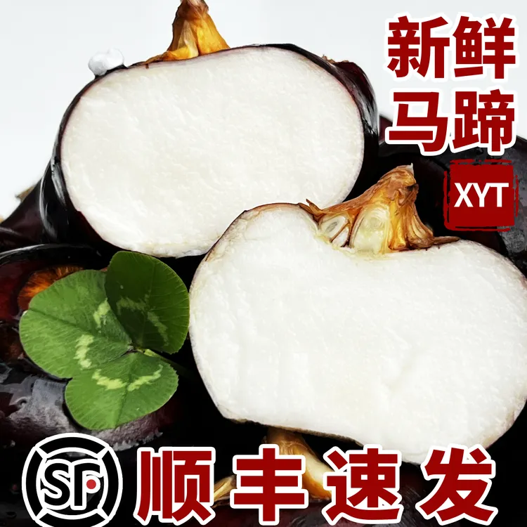 【顺丰】湖北马蹄特大果新鲜荸荠水果蔬菜地栗地梨大果农家当季脆甜