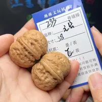 文玩核桃吊坠核桃树233