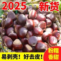 【买三送二】深山老树新鲜板栗生栗子甘甜清脆鲜香颗颗饱满