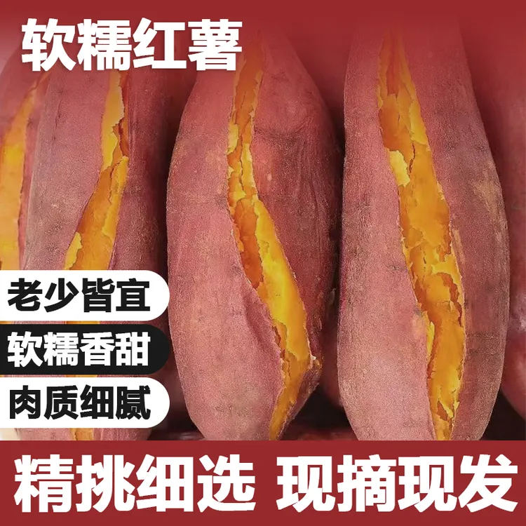 正宗沙地西瓜红蜜薯新鲜现挖高原番薯超甜软糯糖心红薯（达人）