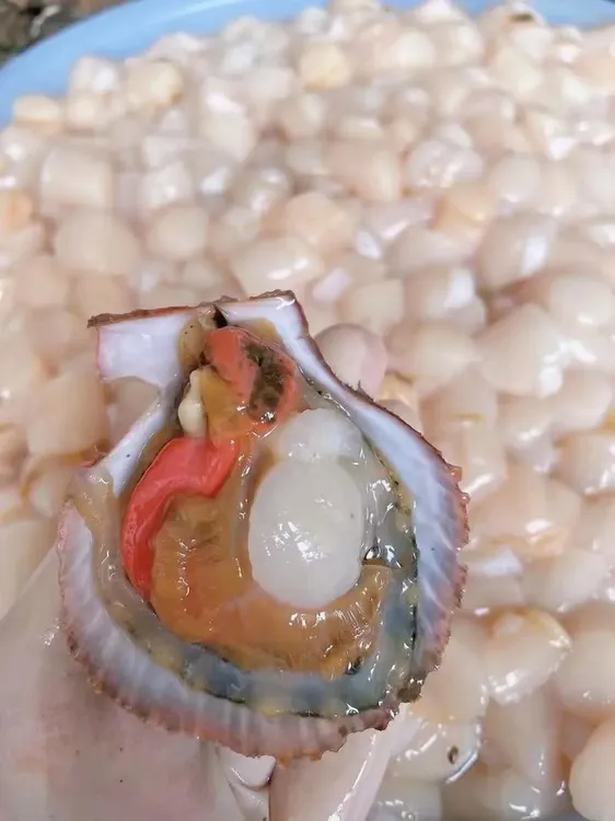 3 斤 特大80 粒/斤大连广鹿岛扇贝柱扇贝丁冷水产地直发海鲜新鲜