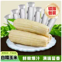【试吃5根】2025年东北头茬白糯玉米10根软糯香甜