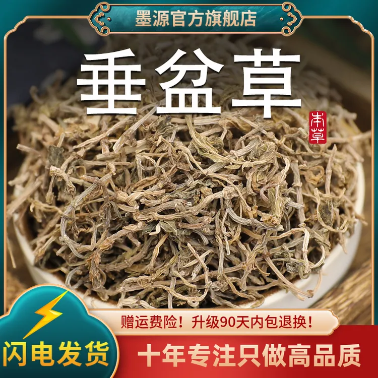 垂盆草中药材垂盆草新鲜垂盆草茶锤盆草非野生狗牙草干货泡水粉