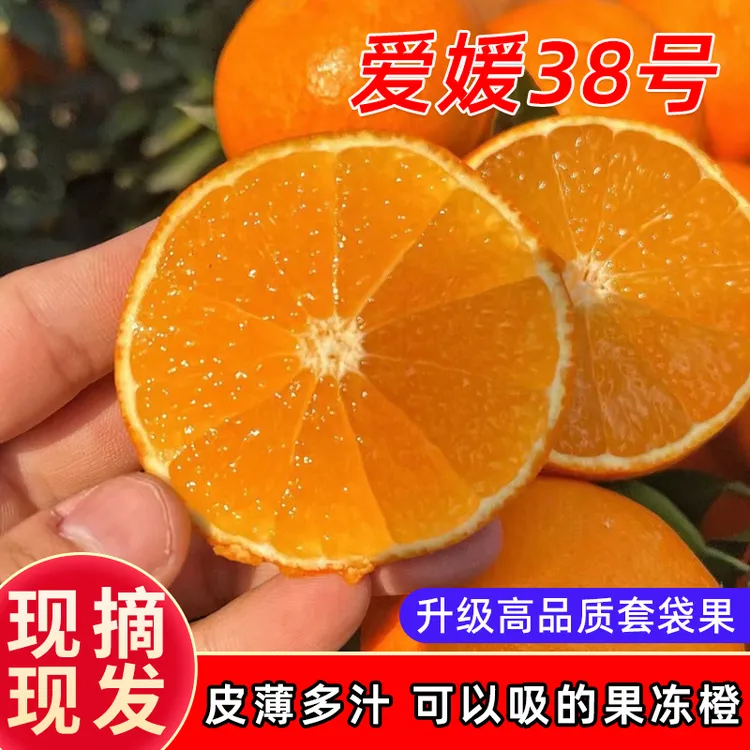 四川眉山爱媛38号果冻橙手拨橙香甜多汁新鲜应季水果现摘现发商品图