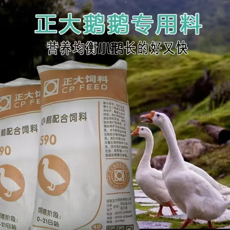 正大590幼鹅小鹅适合性好提高成活率0~21日龄一斤以下适用饲料