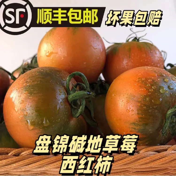 【现摘现发】正宗盘锦碱地柿子，净重3斤/5斤可选，酸甜可口，顺丰包邮