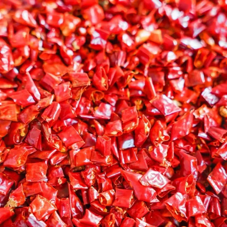 无籽无盐魔鬼椒特辣辣椒段干辣椒节餐饮饭店火锅调味佳品