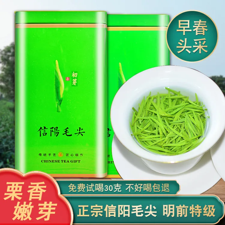 耀美信阳毛尖2025新茶旗舰店茶叶明前特级嫩芽正宗绿茶浓香型春茶