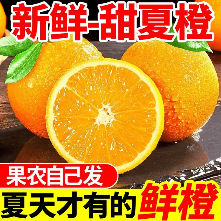 【正宗广西夏橙】高山现摘橙子整箱批发包邮薄皮酸甜爆汁奶茶店榨汁商品图