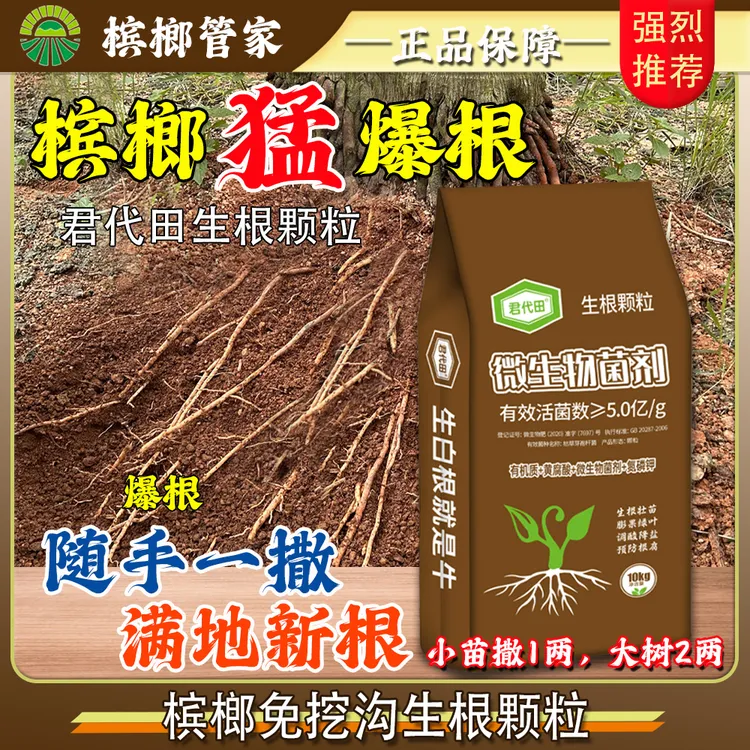 【君代田】槟榔生根颗粒可撒施生根壮根防腐微生物菌剂山坡地