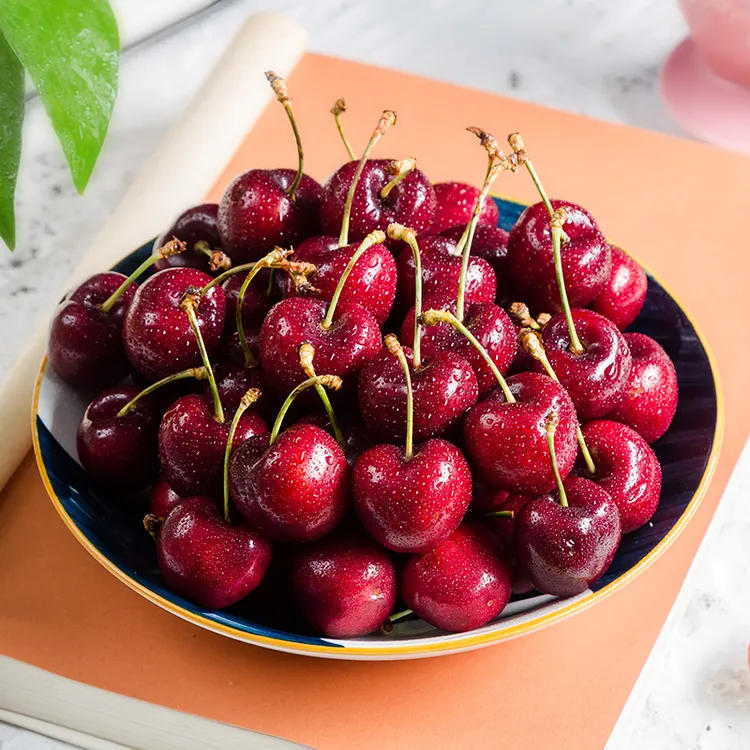 【毛毛姐专属】智利进口海运车厘子JJ级/3J/4J级 900g装 内附果径卡