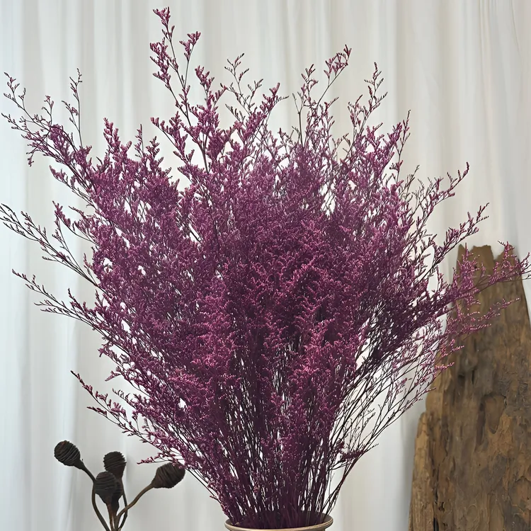 【澳洲菠萝尼亚情人草】永生花小众花材水晶情人草居家软装搭配花束