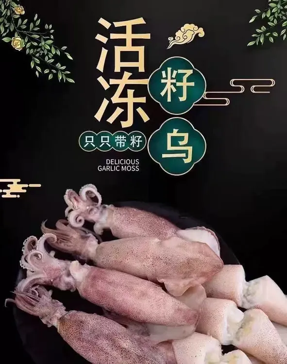 连云港发货 鲜美单冻全籽籽乌海兔30只/盒*到手2盒
