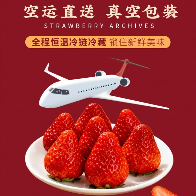 【小栽楞专属】正宗丹东九九草莓产地直发现摘现发新鲜香甜牛奶草莓