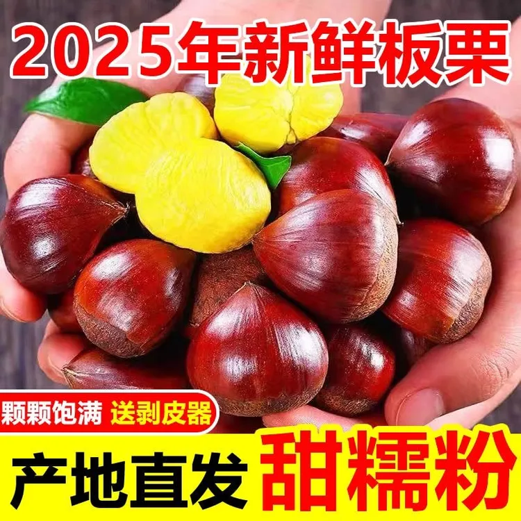 2025高山头茬板栗新鲜大果特大果甜香粉糯不难剥皮（H）