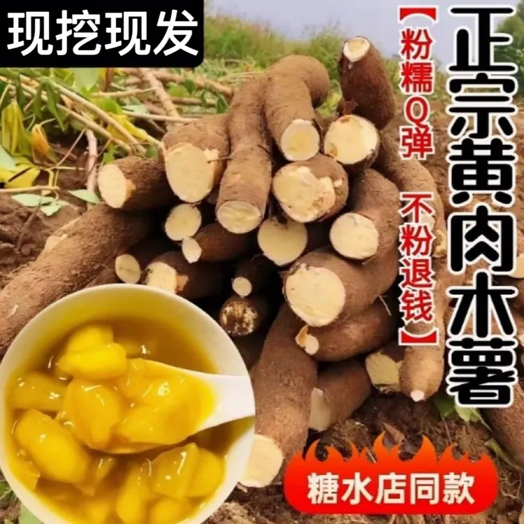 现货【现挖现发】新鲜现挖广西黄心木薯正宗黄肉粉软糯糖水店同款