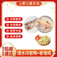 山野云陵农场老鸭2斤/只和老母鸡2斤/只(胗.肝.心）+扁尖笋200g/袋