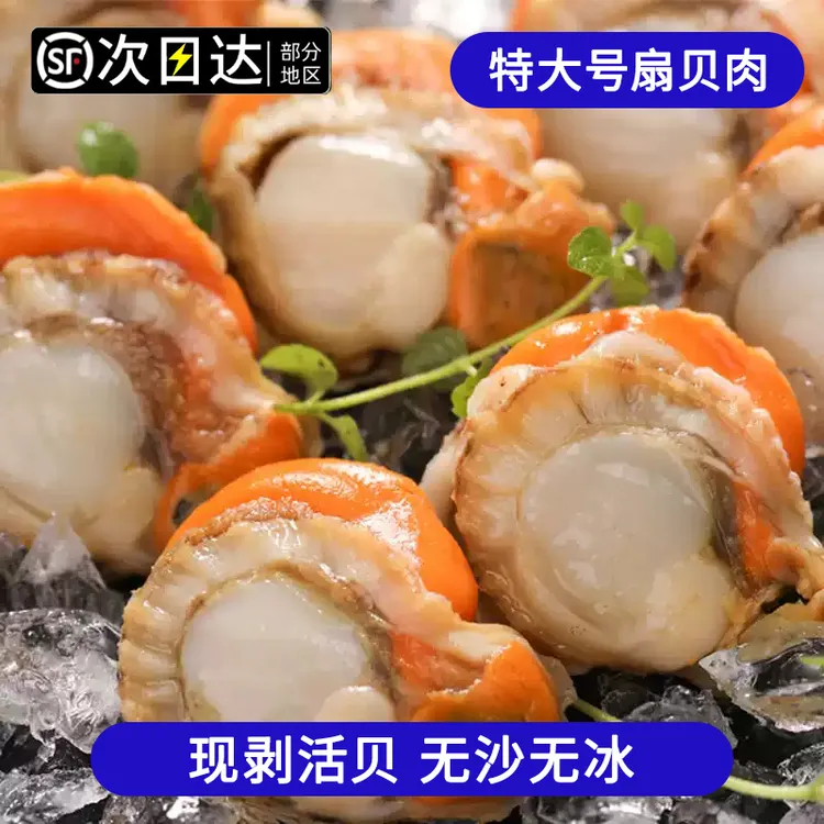 顺丰包邮【40/60大号五斤扇贝肉】带黄带膏新鲜冷冻扇贝肉特产美食