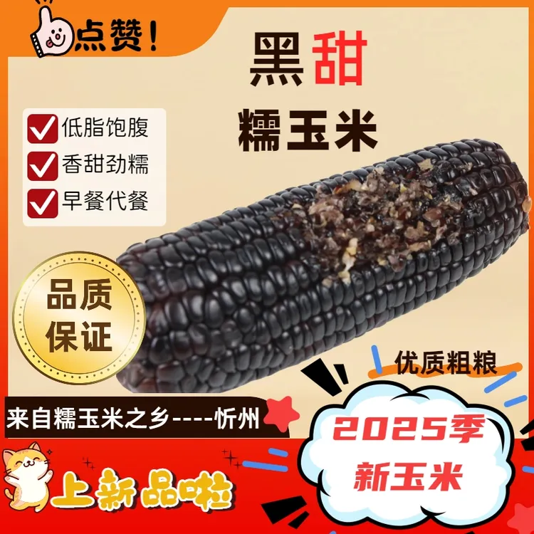 【产地直发】忻州减脂糯玉米甜糯真空新鲜低脂代餐粗粮220g【正宗】