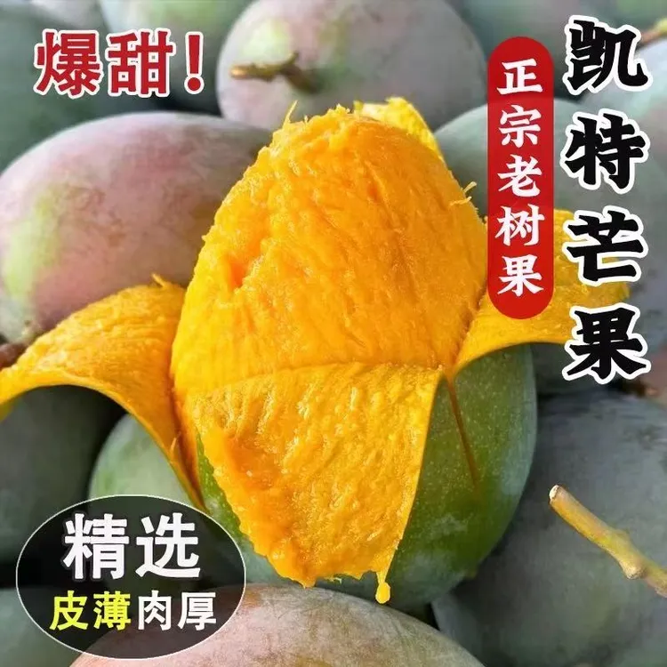 正宗四川攀枝花凯特芒大芒果应季水果皮薄肉厚鲜嫩多汁新鲜采摘Z