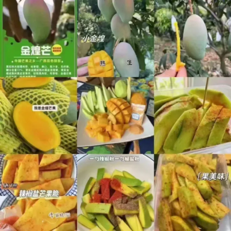 正宗中国芒果 之乡田东金煌芒果