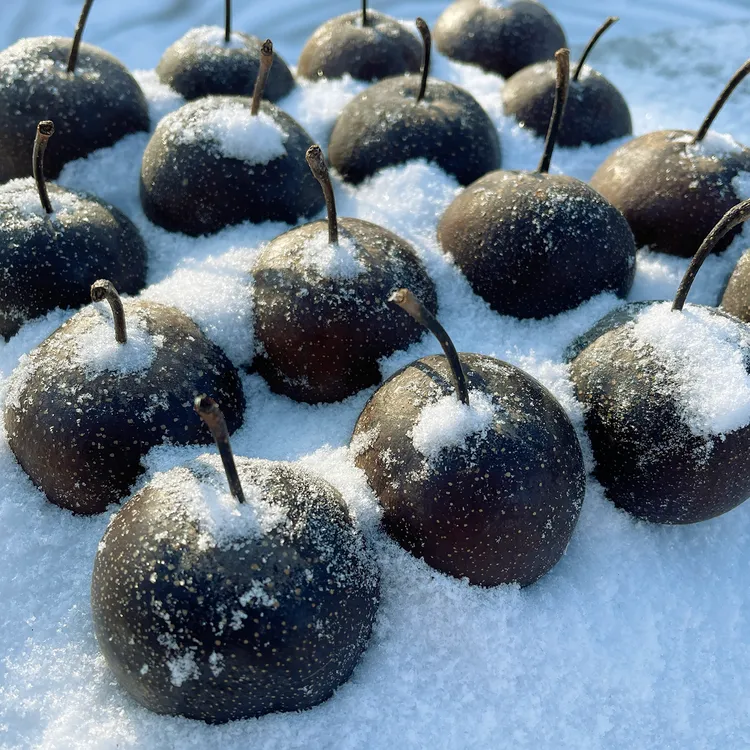 正宗东北冻梨3-5斤顺丰中通包邮冻苹果梨产地直发大冻梨甘甜可口