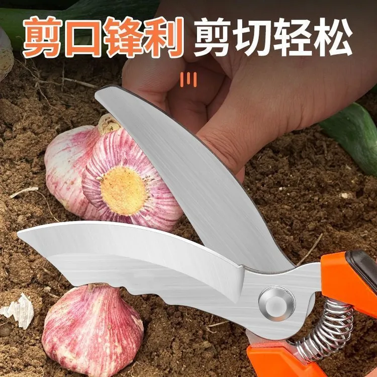德国品质大蒜专用剪刀蒜剪子蒜胡剪子蒜须杆修蒜神器洋葱头园艺剪商品图