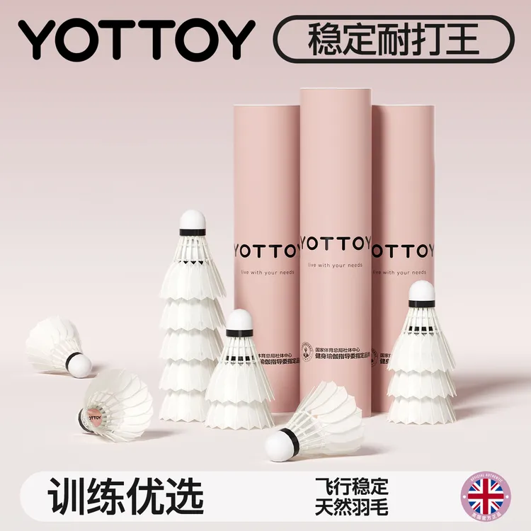 YOTTOY羽毛球12只装耐打王正品不易打烂鹅毛室外比赛套装训练用球