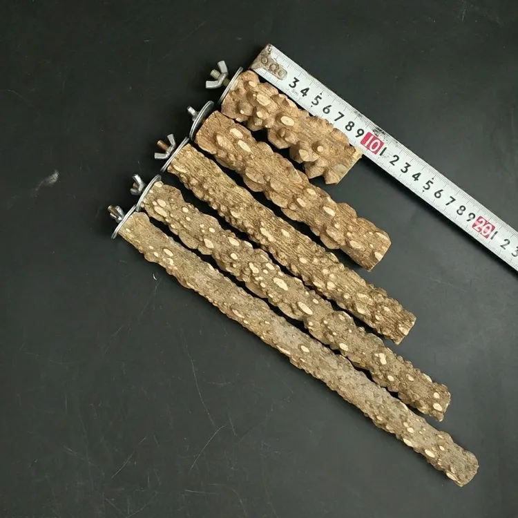 鹩哥八哥鹦鹉花椒木磨爪栖杠啃咬鸟站杆鹦鹉站杆站棍花椒木站杆