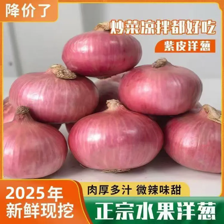 生吃脆甜扁平水果洋葱新鲜现挖紫皮圆葱头肉厚粉色5斤二红山东甜