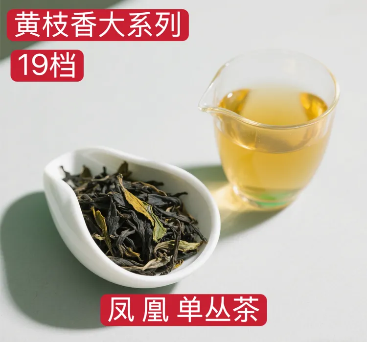 【凤凰单丛茶】黄枝香大系1-13档