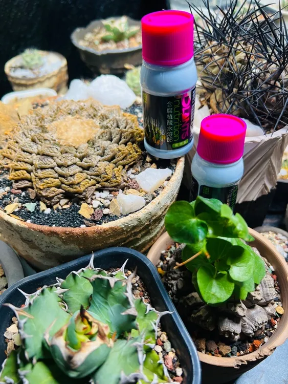 【高钾/平衡型腐植酸】改土利土，发根壮根，酸碱平衡，补干物质抗板结