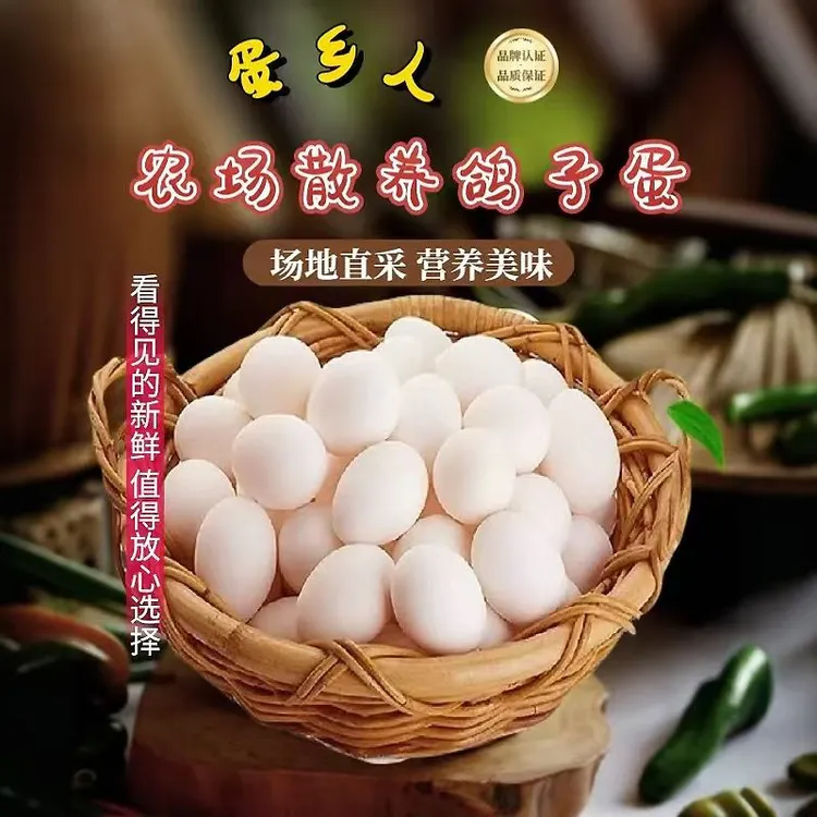蛋乡人【顺丰京东快递】鸽子蛋新鲜散养鸽农家鸽子蛋天然五谷杂粮