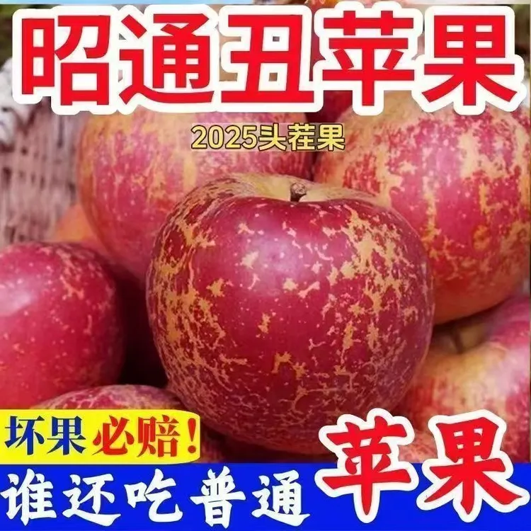 25年云南昭通丑苹果新鲜现摘现发脆甜多汁坏多包赔