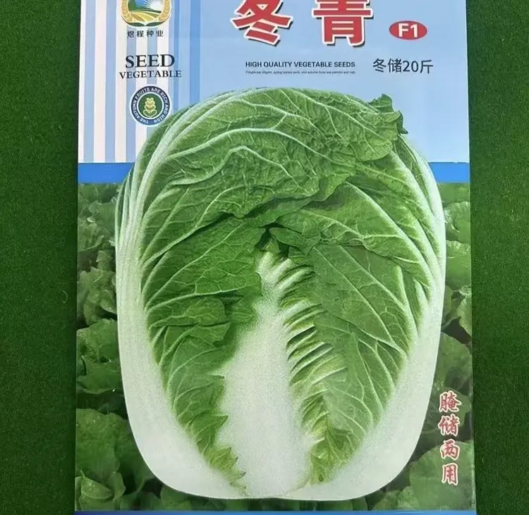 冬青冬储20斤大白菜种子四季播种盆栽地栽