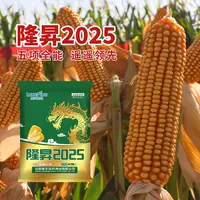 隆平高科隆昇2025玉米种